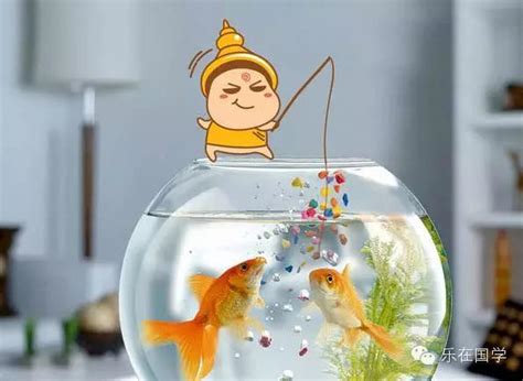 房間養魚|家庭養魚：風水健康15注意事項